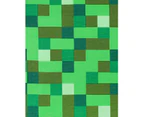 Minecraft Childrens/Boys Creeper Character Hoodie (Pixel Green) - NS336