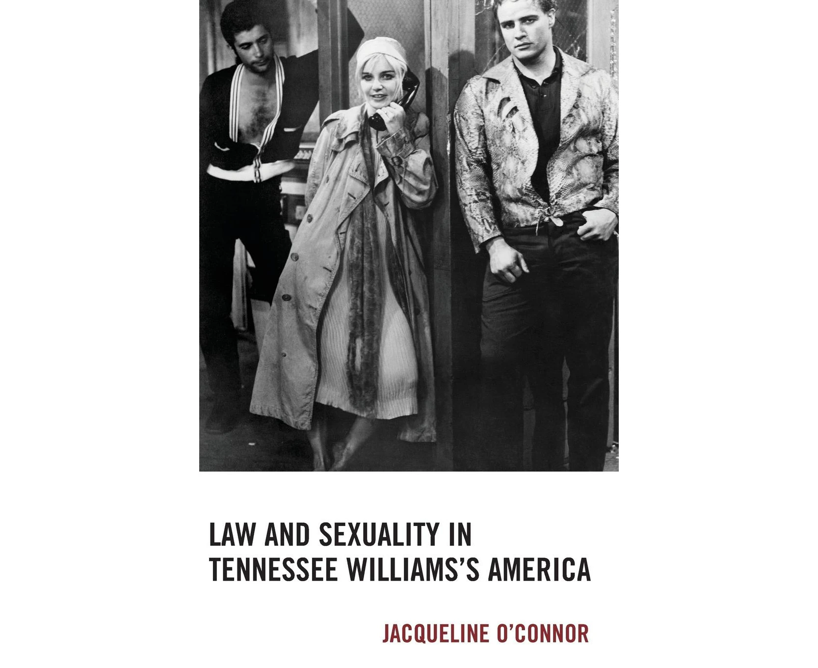 Law and Sexuality in Tennessee Williams's America (The Fairleigh Dickinson University Press Series in Law, Culture, and the Humanities)