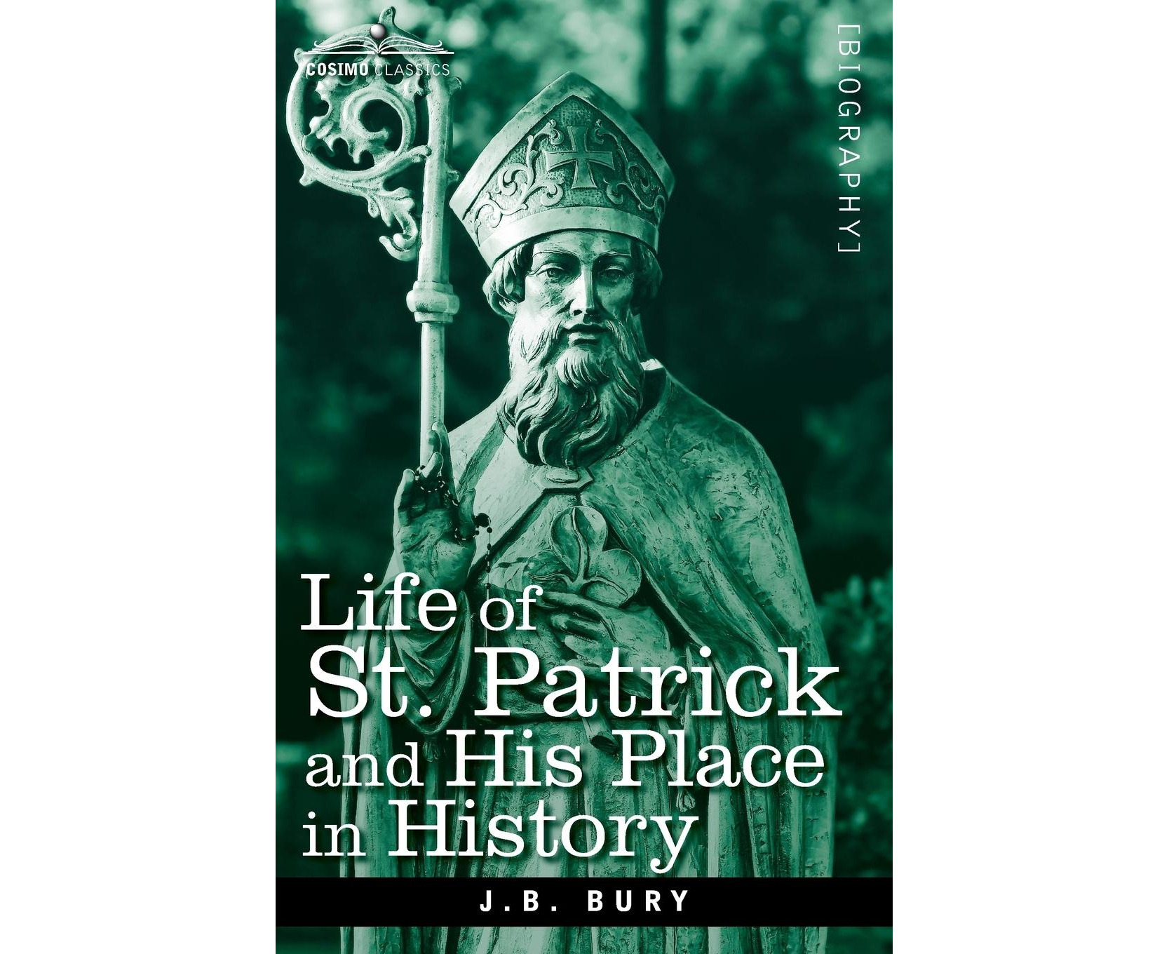 Bury, J: Life of St. Patrick and His Place in History | Catch.co.nz