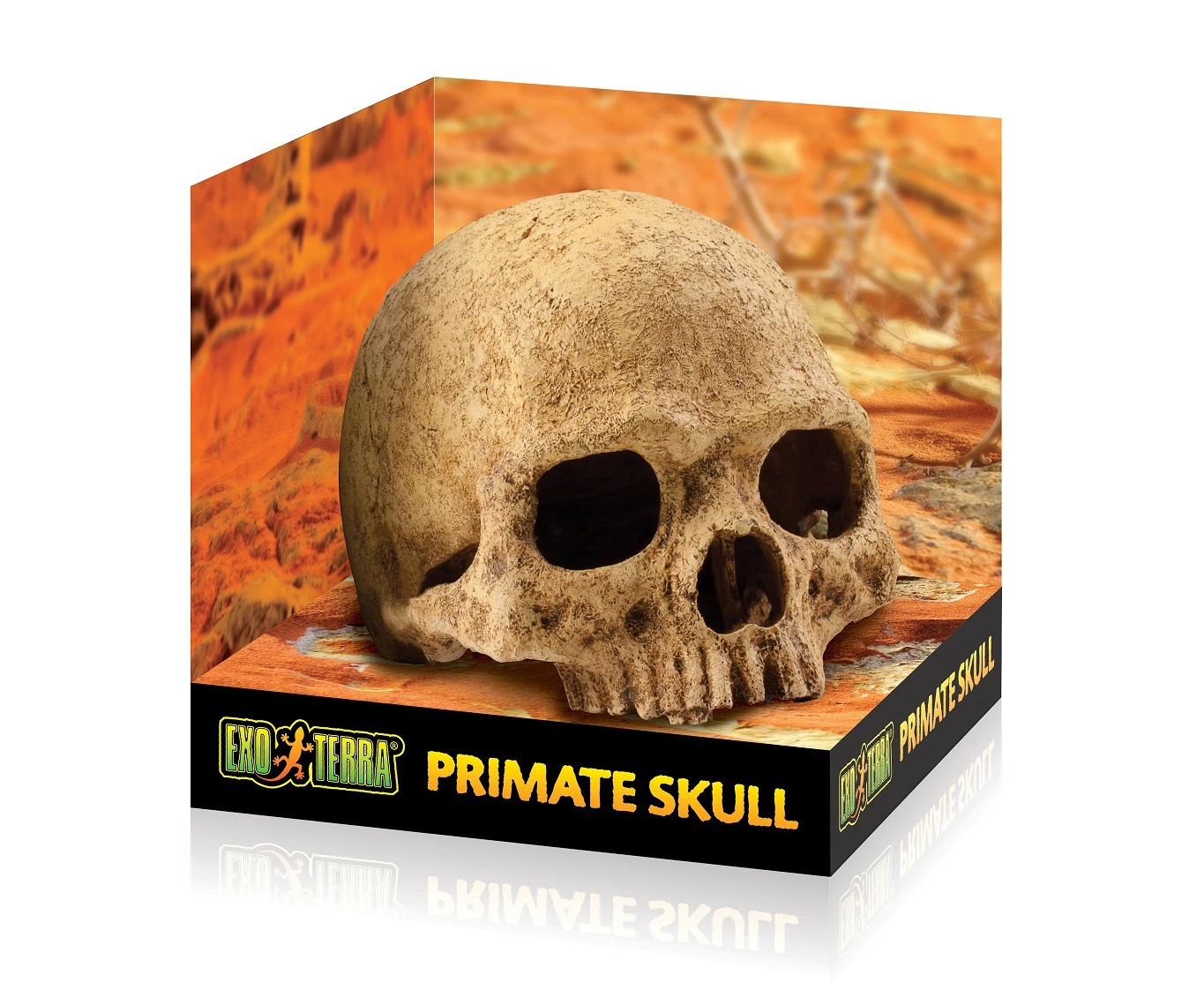 Large Primate Skull Reptile Decoration by Exo Terra