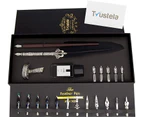 Calligraphy Set For Beginners, Calligraphy Pens for beginners, Calligraphy Pen Set, Calligraphy Kit for Beginners, feather pen, quill pen, quill and ink se