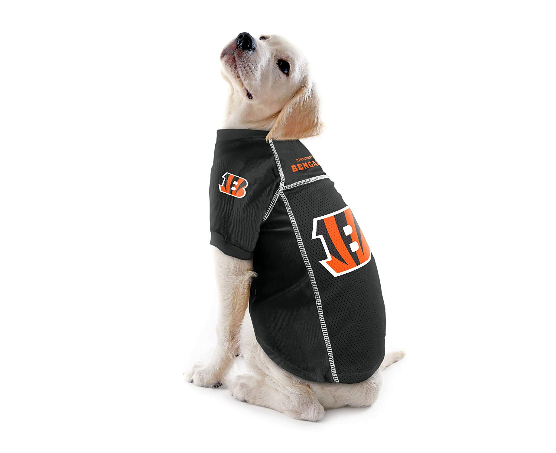 cincinnati bengals pet jersey