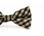 Boys Ivory, Black & Gold Tinsel Checkered Patterned Cotton Bow Tie Cotton