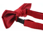Boys Red Polka Dot Pattern Bow Tie Polyester