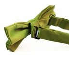 Boys Light Green Plain Bow Tie Polyester
