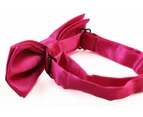 Boys Hot Pink Plain Bow Tie Polyester