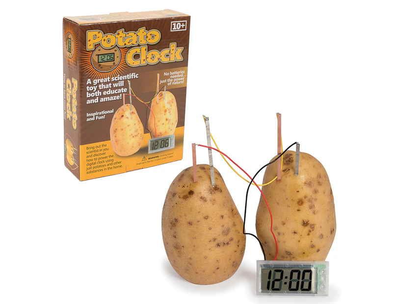 Potato Clock Toy