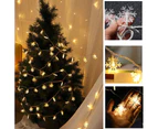 2 pack LED snowflake light string Christmas decoration lights-warm white