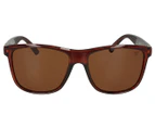 Winstonne Men's Owen Polarised Sunglasses - Shiny Brown/Brown