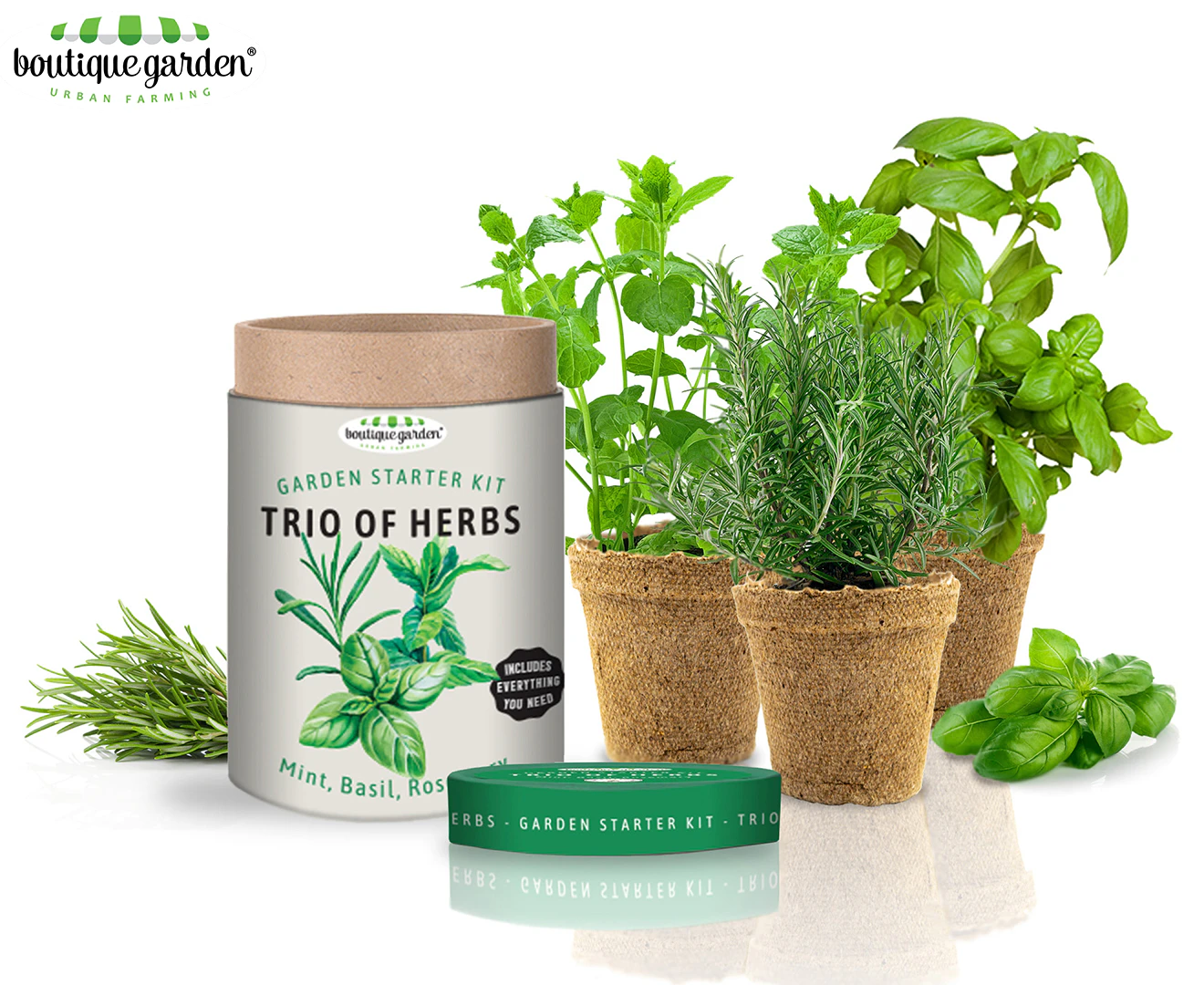 Boutique Garden Trio of Herbs Garden Starter Kit