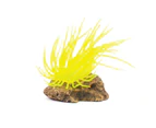 Kazoo Soft Grass Coral With Rock