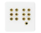 Selby 6.1 Speaker Cable Wall Plate Premium Pre-Assembled Wallplate