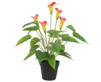 Artificial Flowering White & Orange Peace Lily / Calla Lily Plant 50cm