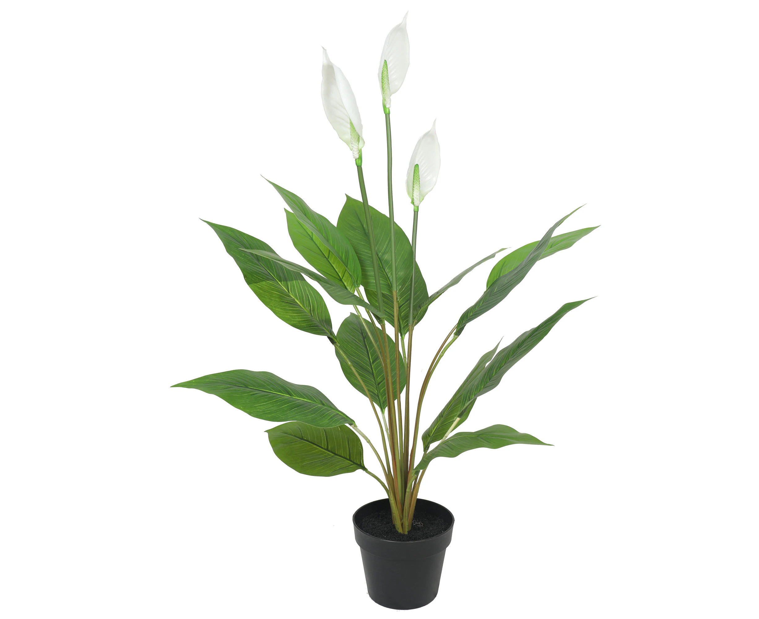 Artificial Flowering White Peace Lily / Calla Lily 95cm