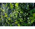 Spring Sensation Hedge Screen Green Wall Panel UV Resistant 100cm x 100cm