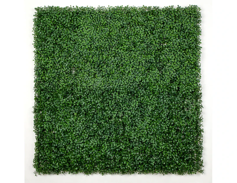 Boxwood Hedge Screen Green Wall Panel UV Resistant 100cm x 100cm