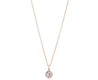 Mestige Chevron Necklace & Earrings Set w/ Swarovski® Crystals - Rose Gold 4
