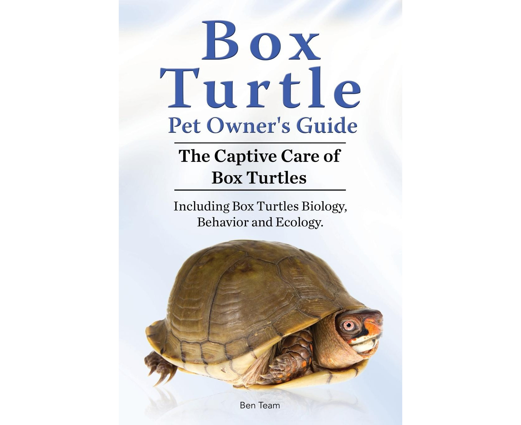 Box turtle clearance pet care