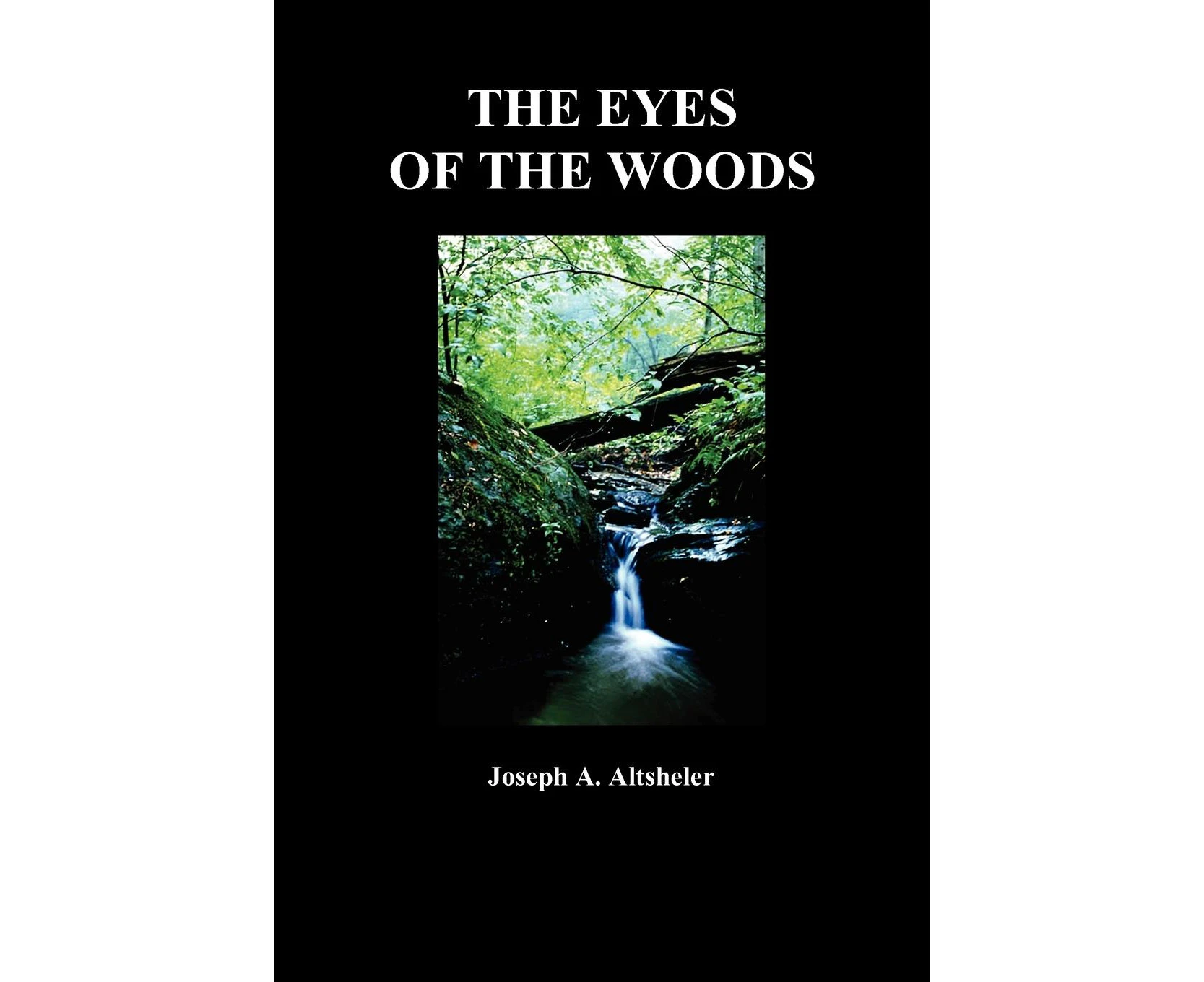 The Eyes of the Woods: A Story of the Ancient Wilderness