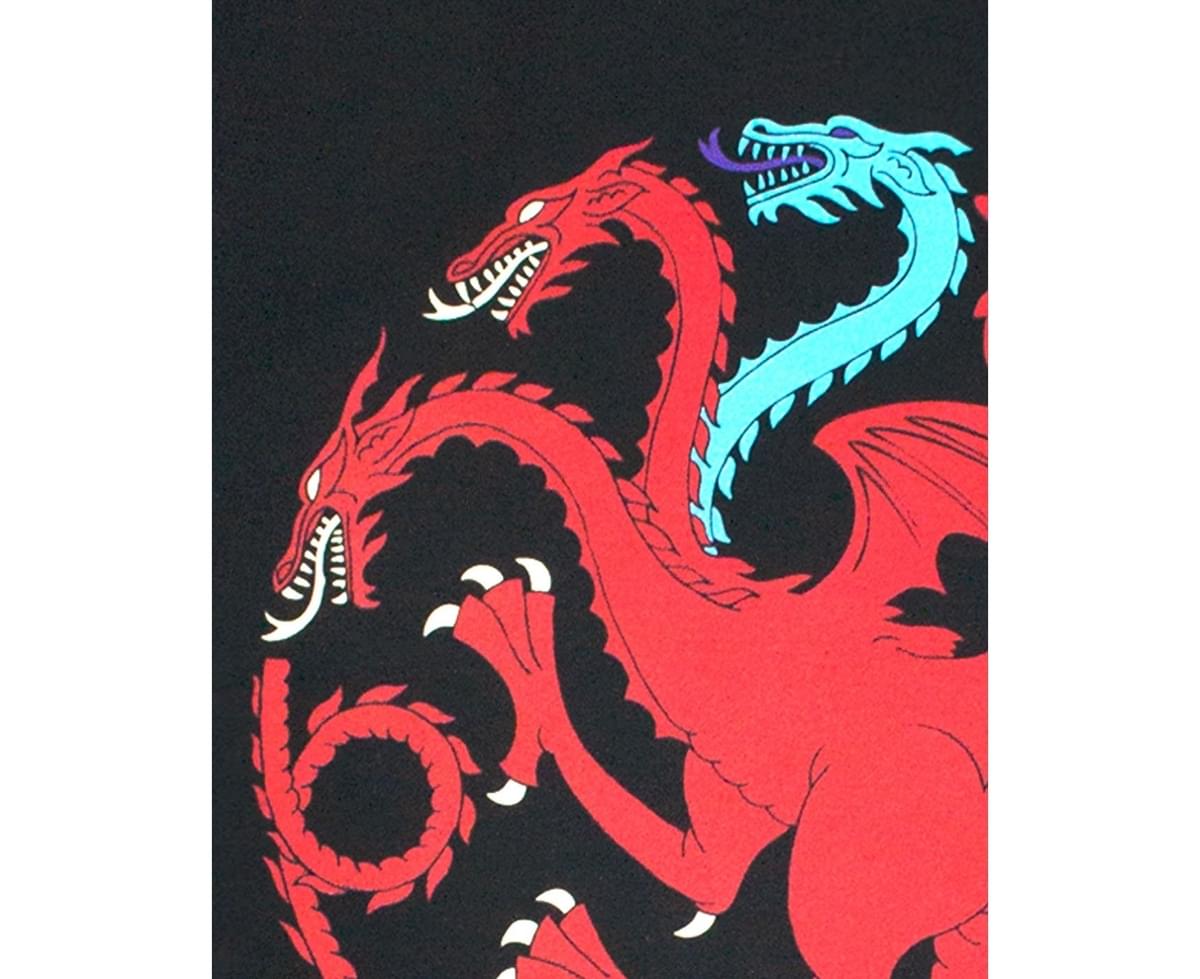 Game of Thrones Ice and Fire Dragons Emblem Men's T-Shirt 
