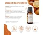 Boswellia Orange Essential Oil - Organic - Citrus Sinensis - 15mL 2