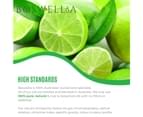 Boswellia Lime Essential Oil - Cold Pressed - Citrus aurantifolia - 15mL 3