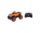 Monster Jam RC 1:24 Scale Vehicle - Assorted*