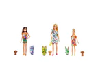 ​Barbie and Chelsea The Lost Birthday Playset Assorted