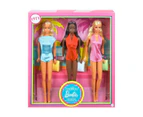 Barbie - Malibu Barbie Gift Set - Pink