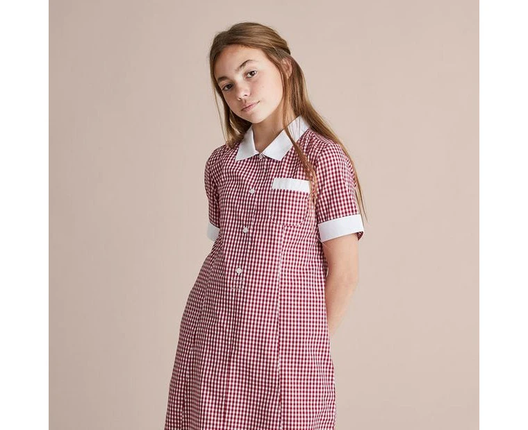 Target Gingham School Dress - Red