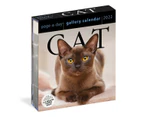 Cat Page-A-Day Gallery 2022 Calendar Boxed