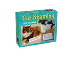 Cat Shaming 2022 Calendar Box