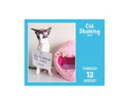 Cat Shaming 2022 Calendar Box