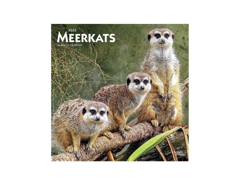 Meerkats 2022 Sqaure Calendar