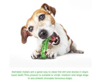 Miserwe Dog Chew Toy Clean Teeth Interactive Squeaky Toy Dog Natural Rubber Indestructible Dog Toys-Green