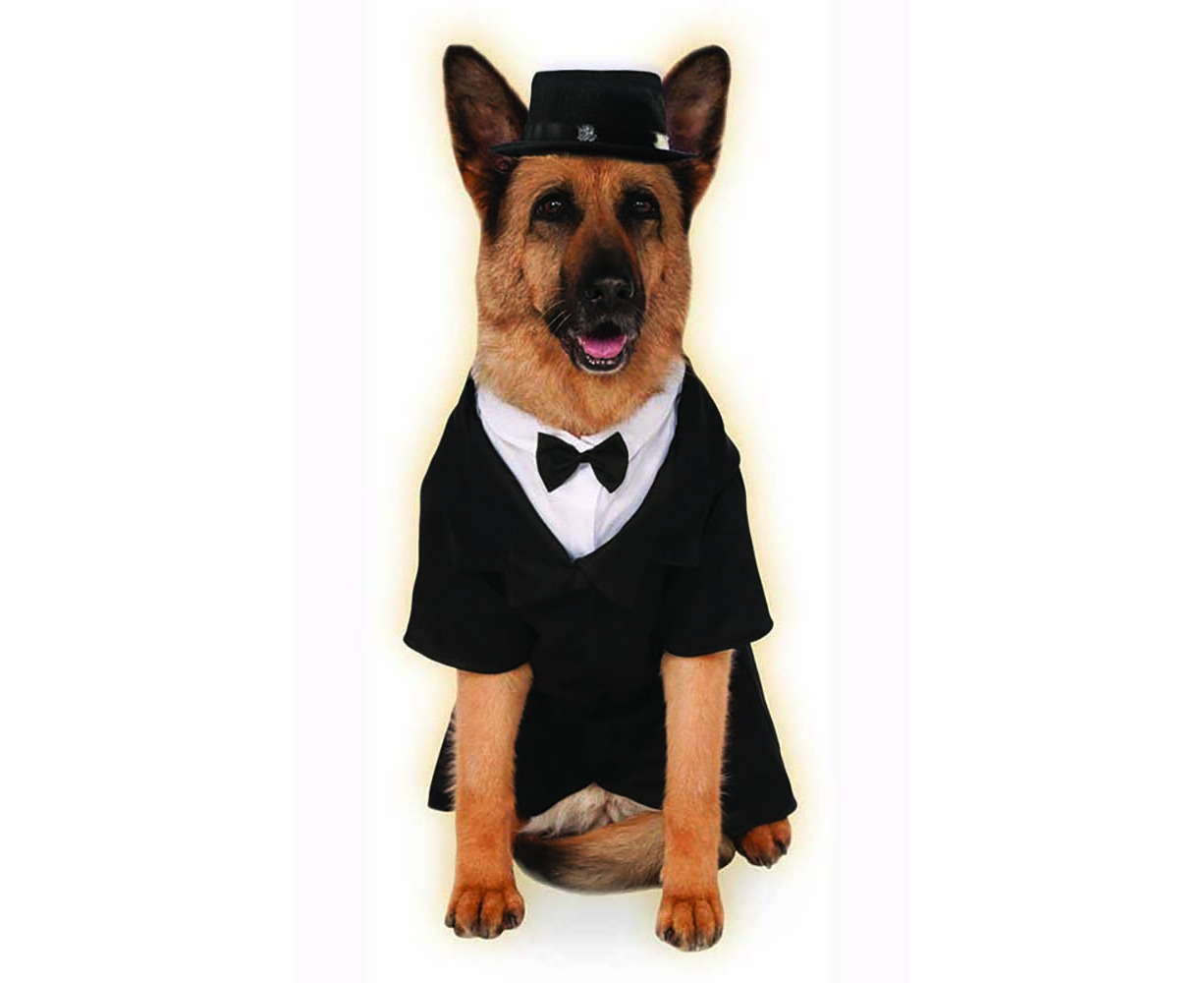 dog tuxedo kmart