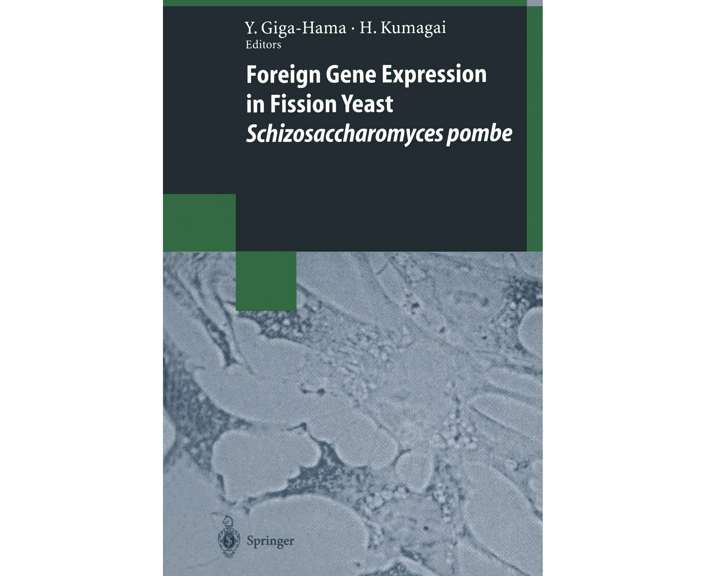 Foreign Gene Expression in Fission Yeast: Schizosaccharomyces pombe (Biotechnology Intelligence Unit)