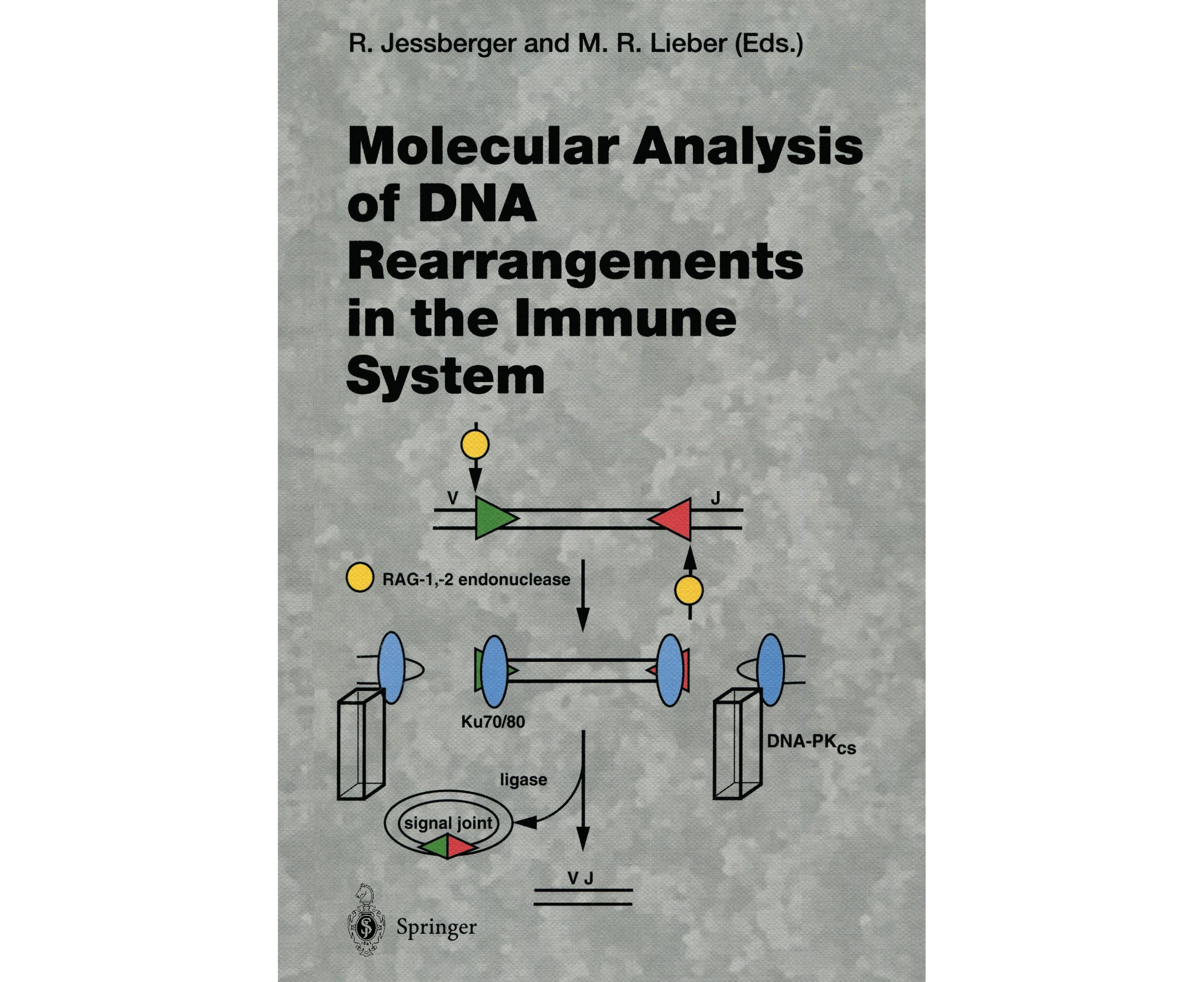 Molecular Analysis of DNA Rearrangements in the Immune System (Current Topics in Microbiology and Immunology)