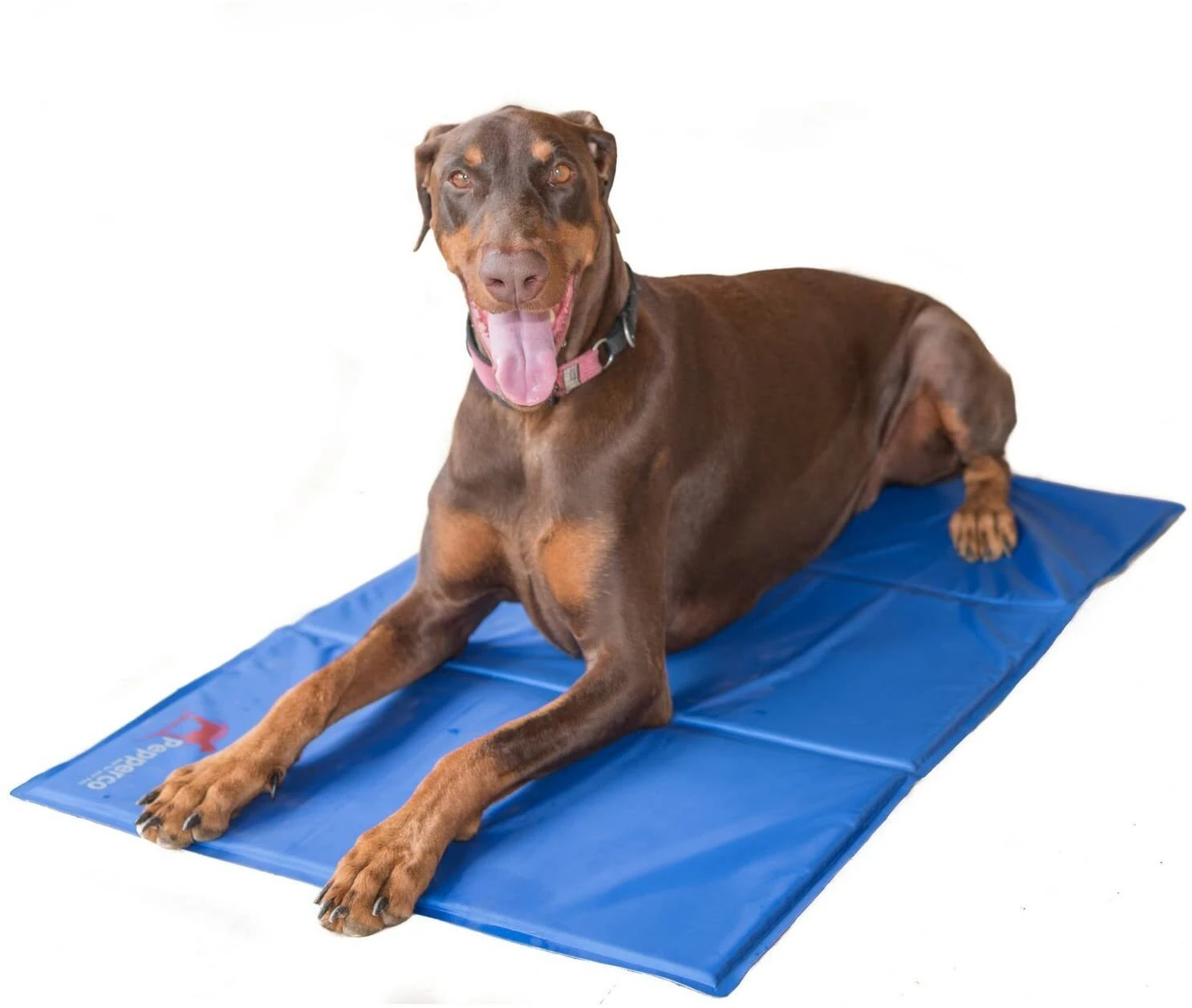 Pepperco XXL Pet Dog Cooling Mat Instant Non-Toxic Cool Gel Pad 100cmx60cm