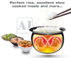 Tefal Easy Rice & Slow Cooker Plus