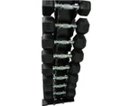 Heavy Duty 10 Pair Vertical Dumbbell Storage Tree Rack