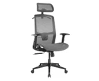 Desky Adjustable High Back Mesh Chair