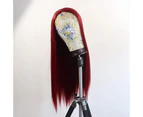 Elesty Wine Red Synthetic Lace Front Wigs Burgundy Synthetic Wigs for Women Long Straight Lace Wig Heat Resistant 60cm
