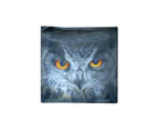 Black Owl Square Cushion Cover 43 x 43 cm