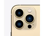 Apple iPhone 13 Pro Max 1TB - Gold