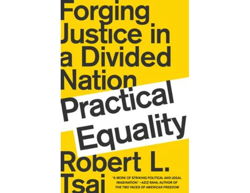 Practical Equality : Forging Justice in a Divided Nation