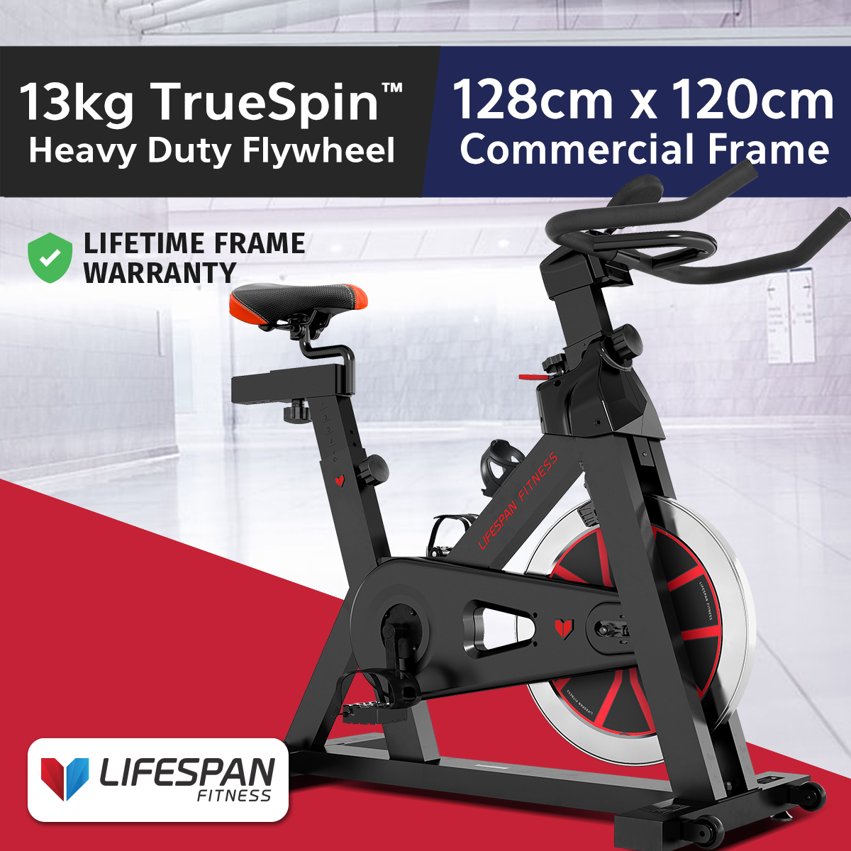 Lifetime best sale fitness bike