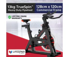 Lifespan Fitness SP-310 (M2) Spin Bike