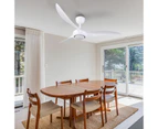 Sandiego 52 inch Ceiling Fan with Lamp