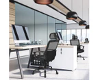 Giantex Ergonomic Office Chair Swivel Computer Desk Chair Mesh Executive Chair w/Armrests Adjustable Headrest